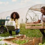 2025 Agricultural Jobs in New Zealand with Visa Sponsorship