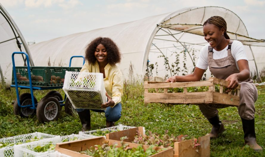 2025 Agricultural Jobs in New Zealand with Visa Sponsorship